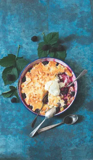 Ostružinovo-rebarborový cobbler