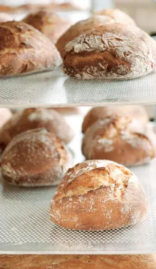Pane Campagnolo