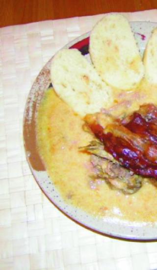 katkin bažant