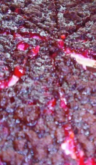 Tvarohový koláč s kakaovou drobenkou