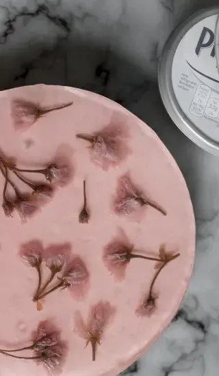 Sakura cherry blossom cheesecake s rebarborou