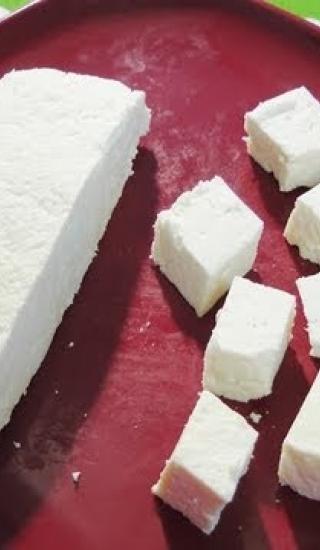 Paneer - farmářský sýr
