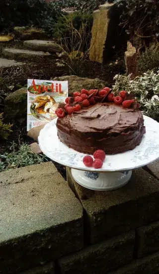 Čokoladový dort s malinami