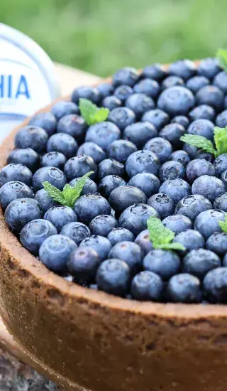 Čučoriedkový cheesecake s bielou čokoládou