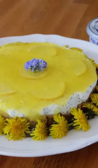 Citrónový cheesecake s makom
