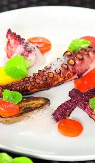 Čtvero příloh k chobotnici