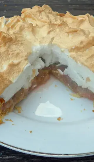 Jednoduchý rebarborový koláč se sněhem