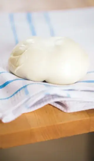 Domácí mozzarella