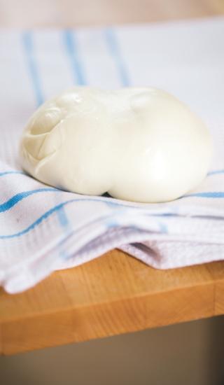 Domácí mozzarella