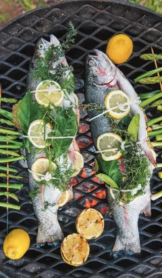 Grilovaný pstruh s chřestem, jarní cibulkou a bylinkami