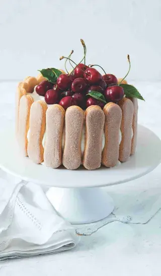 Jogurtová šarlota