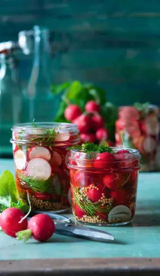 Nakládané ředkvičky s koprem