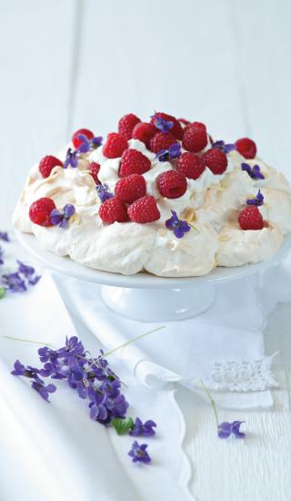 Pavlova s fialkami