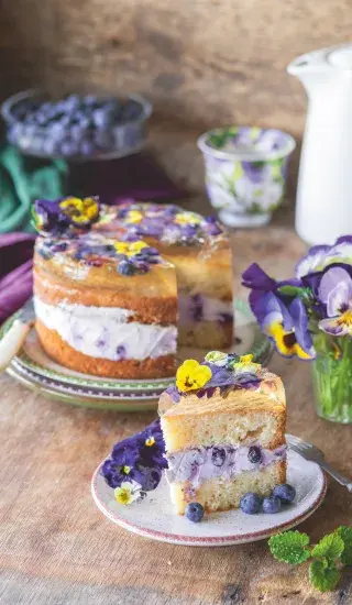 Piškotový dort s borůvkovým krémem a šampaňským želé