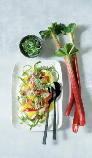 Salát s rebarborou, fenyklem a makrelou