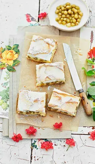 Sněhové řezy s angreštem