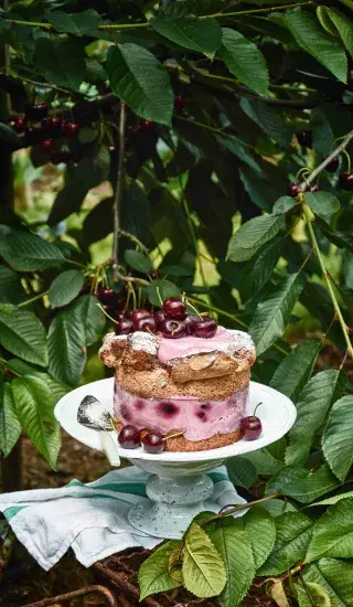  Třešňový sněhový dort