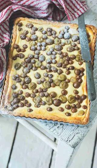 Tvarohový koláč s angreštem