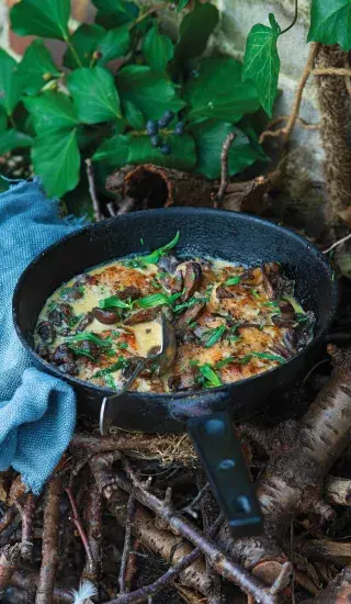 Vepřové kotlety na houbách