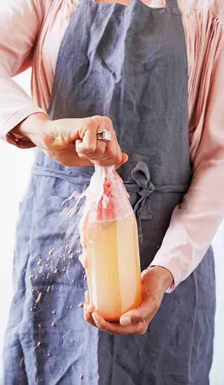 Základní vodní kefír