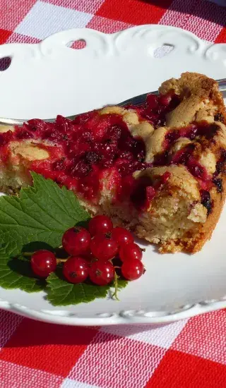 Ovocný koláč s ribízem