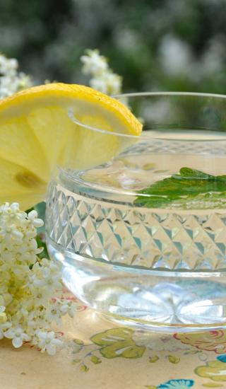 Bezový sirup