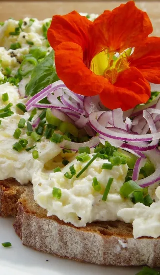 Česneková pomazánka