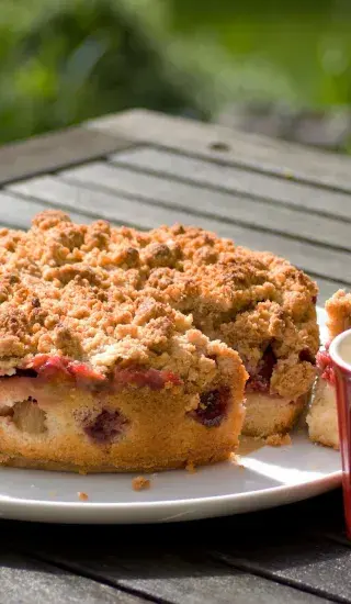 Reveňový koláč s drobenkou