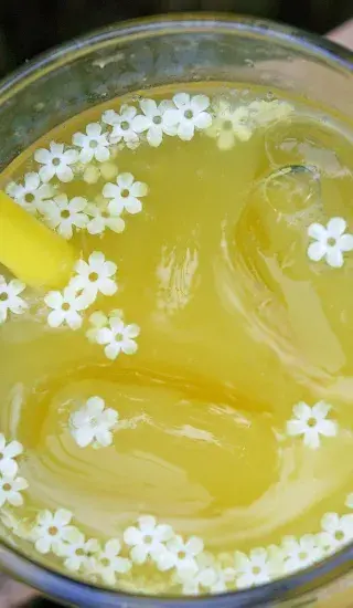 Bezinková jemně perlivá limonáda