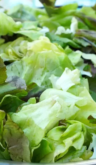 Sladkokyselá zálivka na zeleninový salát