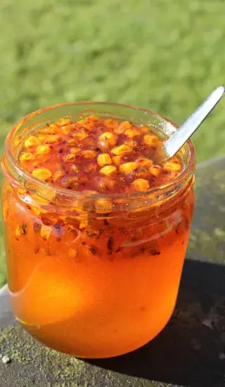 Džem ze šťávy rakytníku