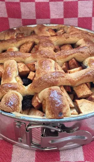 Kynutý koláč s rebarborou, meruňkami a tvarohem