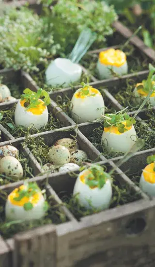 Plněná vejce s lanýžovým olejem