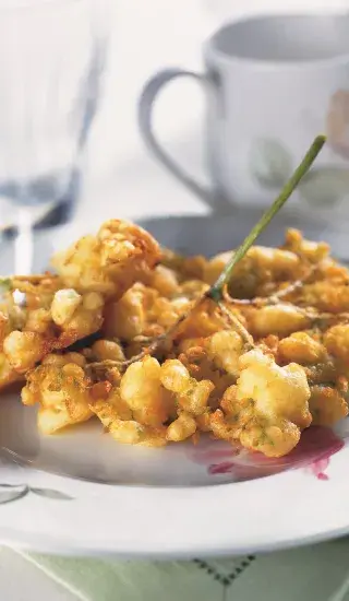 Smažená květenství - kosmatice