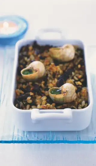 Šneci na houbovém kubovi