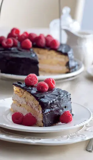 Vanilkový dort s malinovým krémem