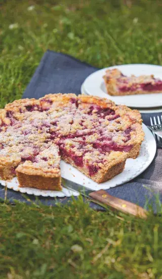 Višňový koláč s ovesnými vločkami a tvarohem