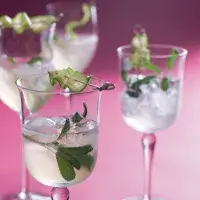 Bezová sangria se šalvějí