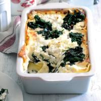 Lasagne se špenátem a ricottou