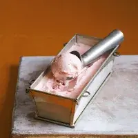 Zmrzlina s lesními jahodami