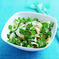 Fenyklový salát s řeřichou a piniovými oříšky