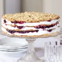 Skládaný dort s černým rybízem