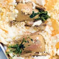 Holoubata v solné krustě