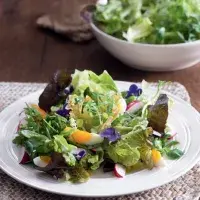 Jarní salát ze zelených listů