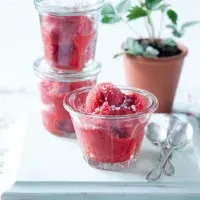 Jahodový sorbet se sektem Jahodový sorbet se sektem