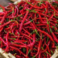 Jak správně pracovat s chilli papričkami?