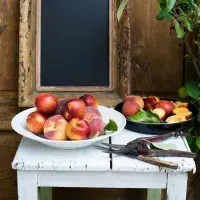 Broskve a nektarinky: 32 nejlepších receptů