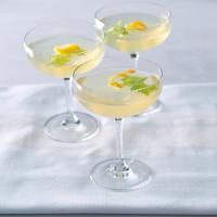 Drink gin & celer