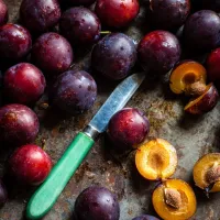 Babí léto ve znamení blum