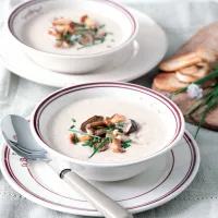 Houbový krém Houbový krém